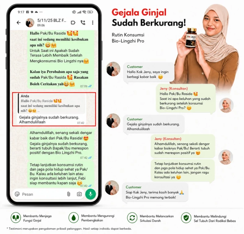 Tangkapan layar percakapan WhatsApp pelanggan bersama Admin Jeny mengenai perkembangan keluhannya.