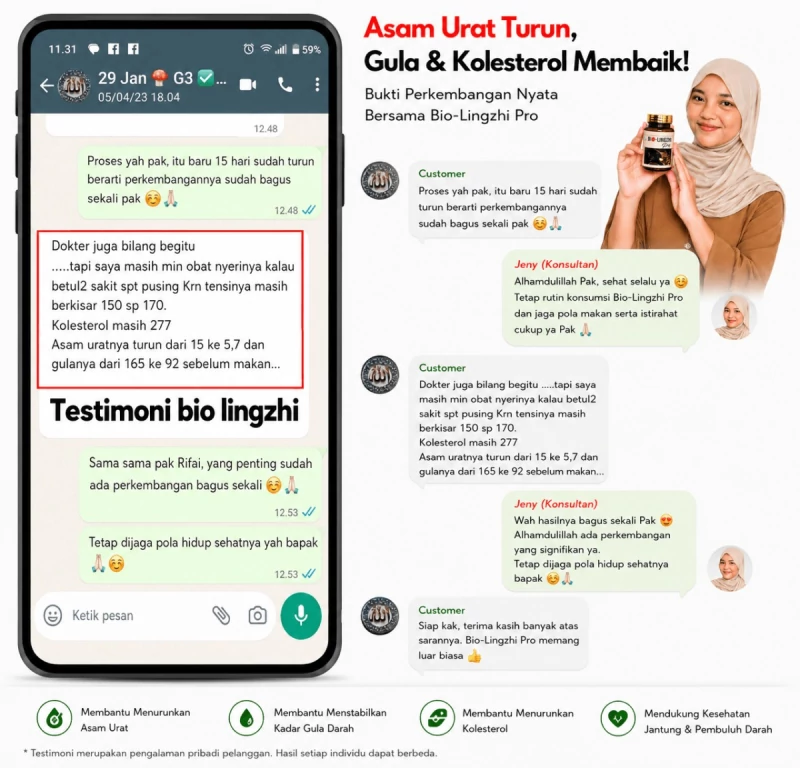 Tangkapan layar percakapan WhatsApp pelanggan yang membagikan hasil pemeriksaannya bersama Admin Jeny.