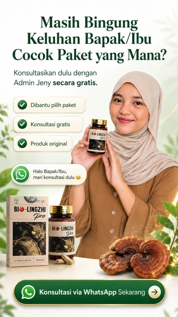 Masih bingung paket mana yang cocok? Konsultasikan dulu dengan Admin Jeny secara gratis — dibantu memilih paket, konsultasi gratis, produk original.